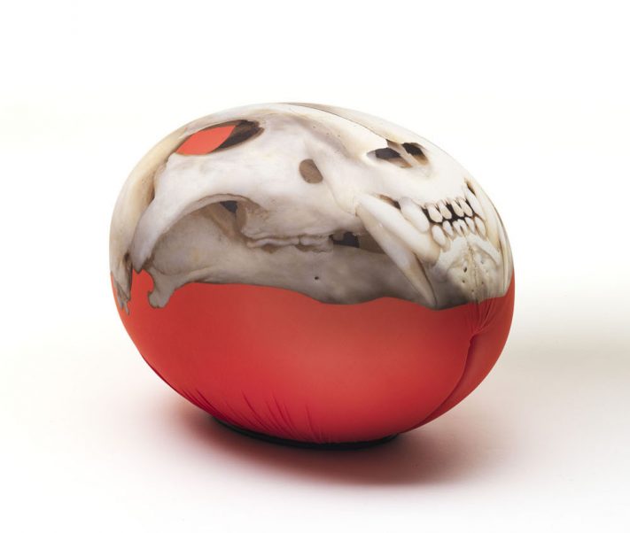 cb_tato_tattoo_tiger_skull_dm855tg