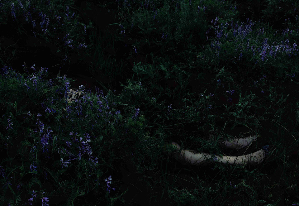 Photo by Yevgenia “Jane” Laptii - a person with face obscured, lying in a field of purple flowers