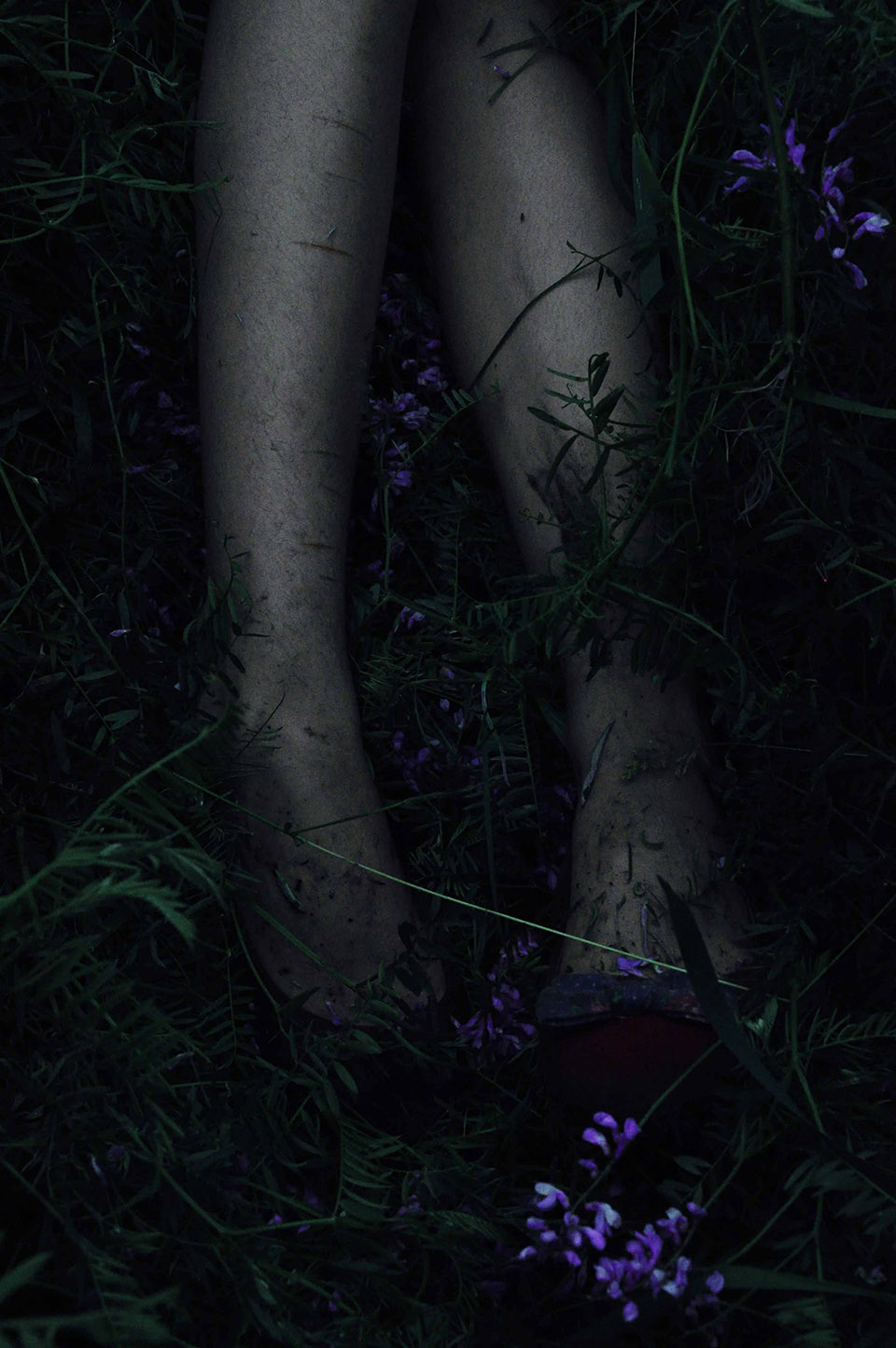 Photo by Yevgenia “Jane” Laptii - two legs rest on top of grass and purple flowers
